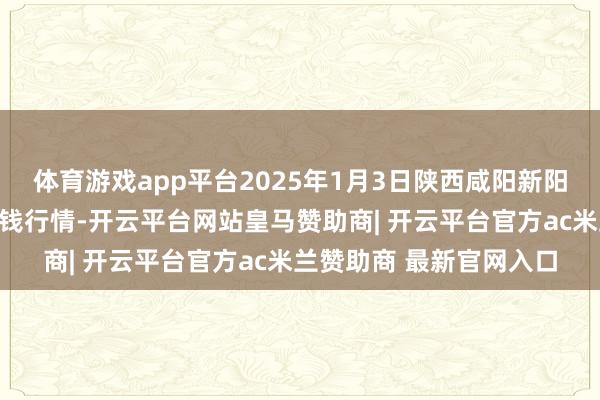 体育游戏app平台2025年1月3日陕西咸阳新阳光农副家具有限公司价钱行情-开云平台网站皇马赞助商| 开云平台官方ac米兰赞助商 最新官网入口