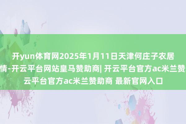 开yun体育网2025年1月11日天津何庄子农居品批发市集价钱行情-开云平台网站皇马赞助商| 开云平台官方ac米兰赞助商 最新官网入口